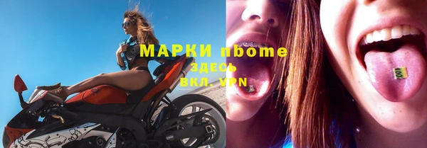 молекула духа Надым