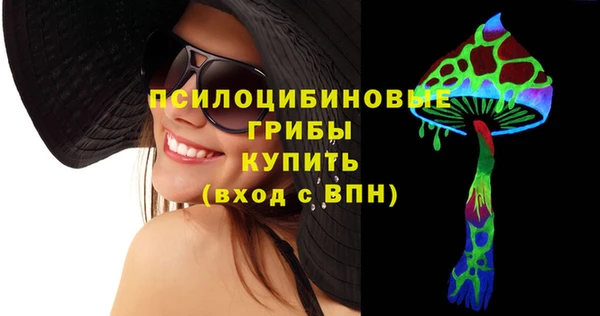 PSILOCYBIN Армянск
