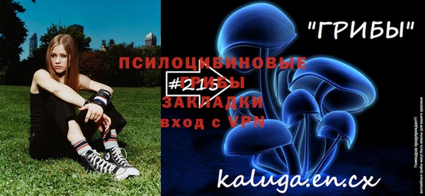 стафф Арсеньев