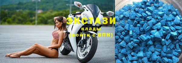стафф Арсеньев