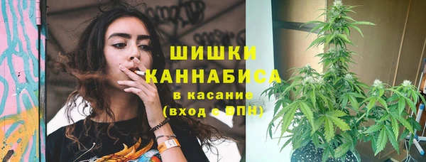 PSILOCYBIN Армянск
