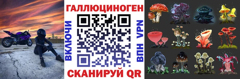 Галлюциногенные грибы GOLDEN TEACHER  Бугульма 